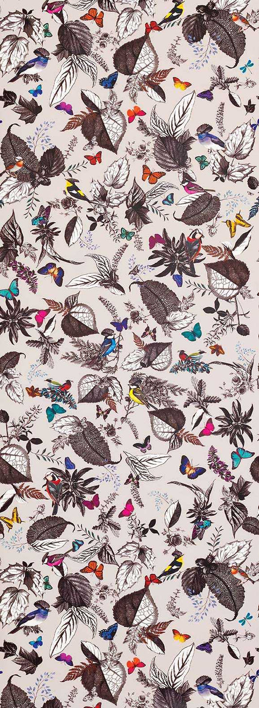 Osborne & Little | Bird Song wallcovering - W6596-01