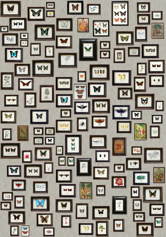 Matthew Williamson | Narissa wallcovering - W6953-01