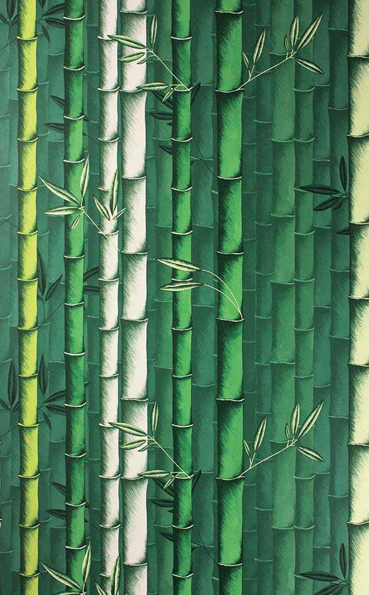 Osborne & Little | Bamboo wallcovering - W7025-01