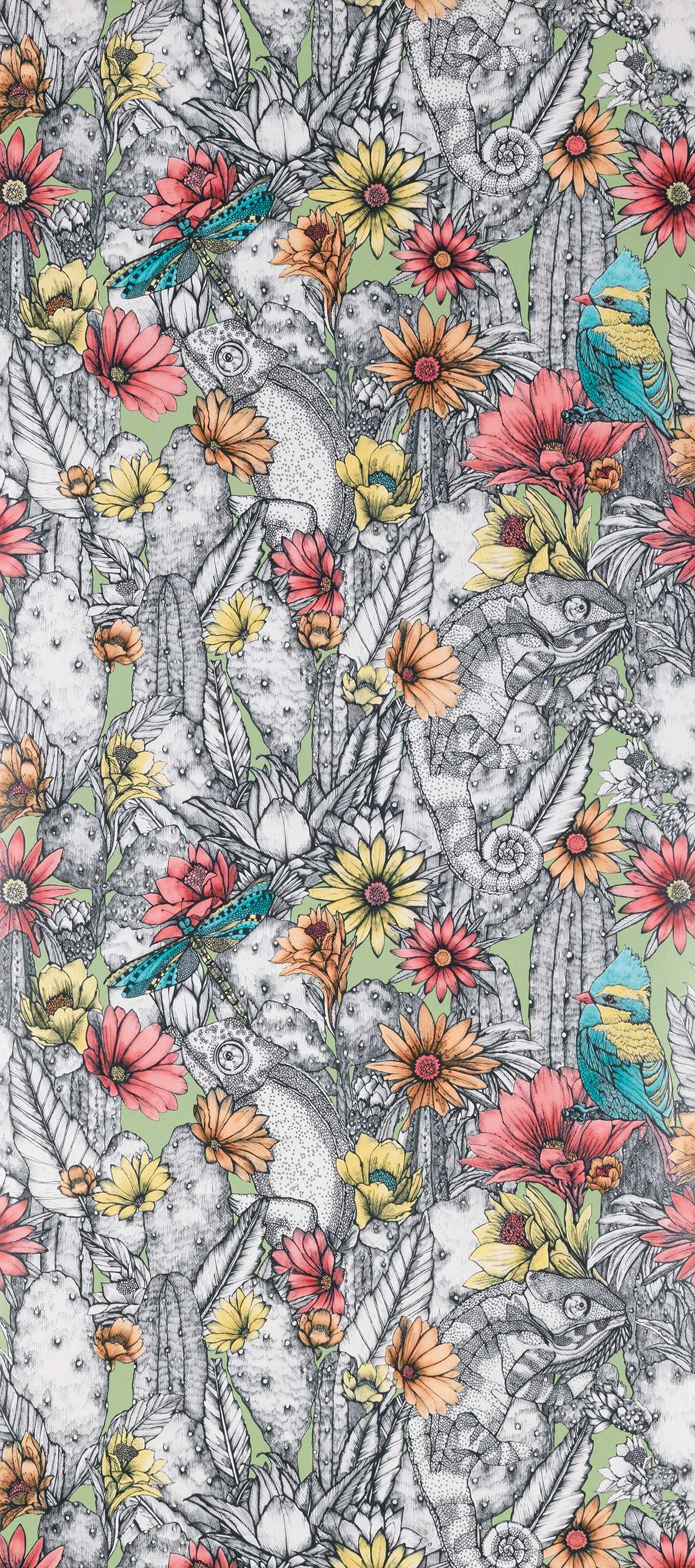Osborne & Little | Cactus Garden wallcovering - W7268-03