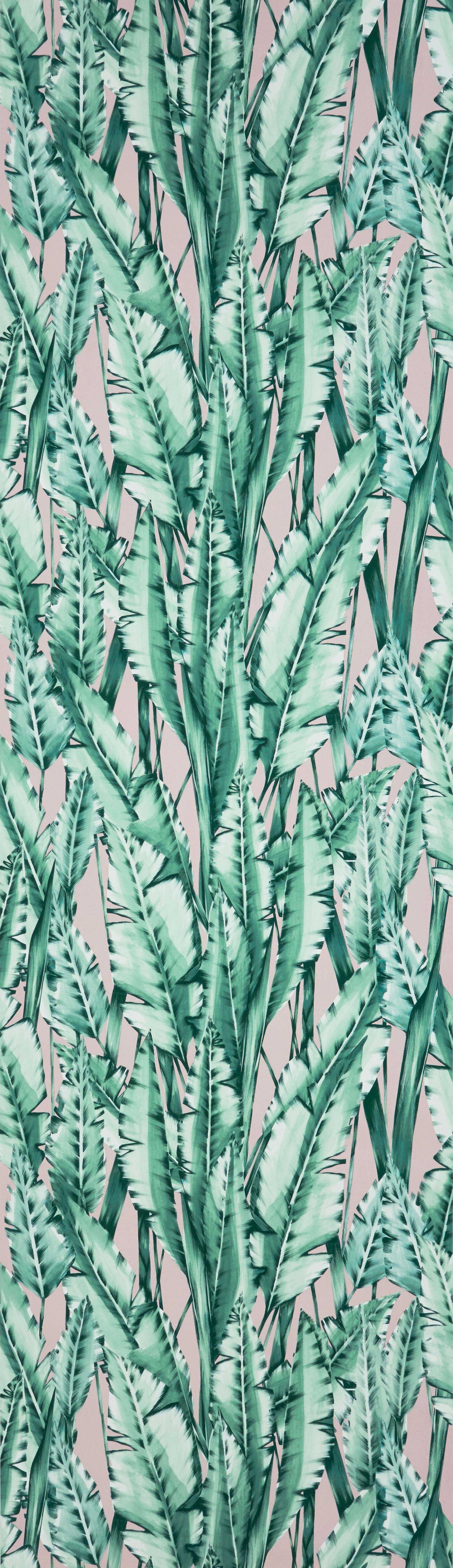 Osborne & Little | Tiger Leaf wallcovering - W7333-01