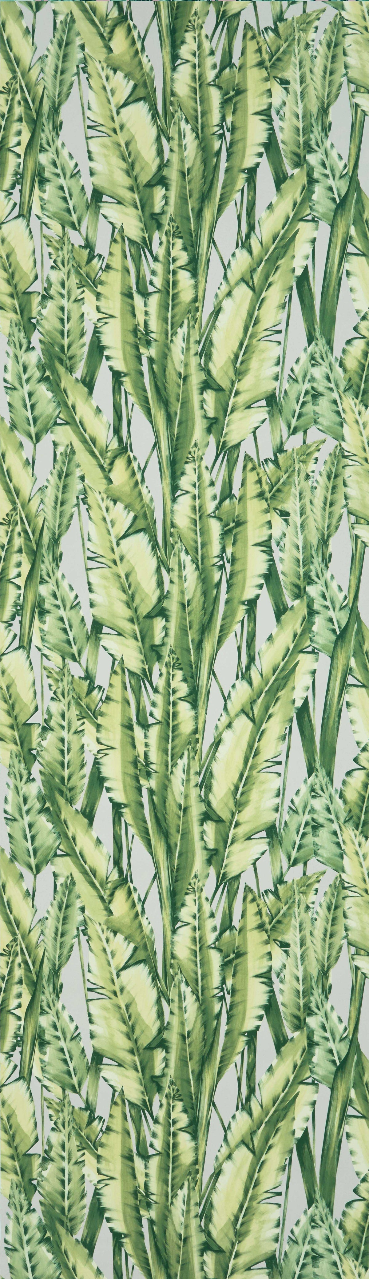 Osborne & Little | Tiger Leaf wallcovering - W7333-02