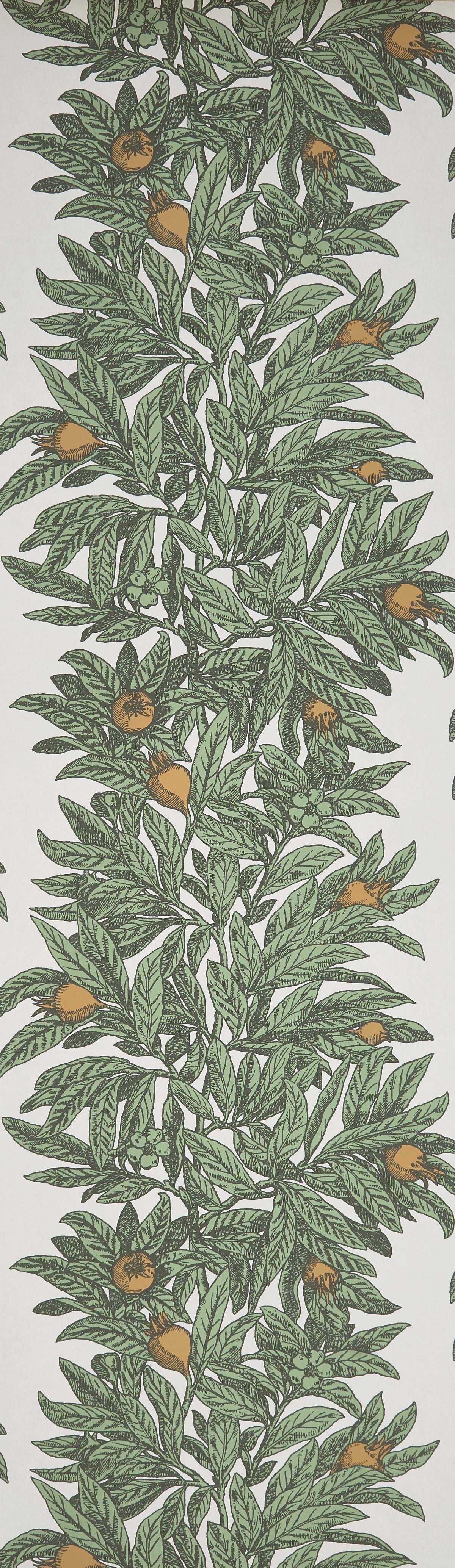 Osborne & Little | Medlar wallcovering - W7458-04