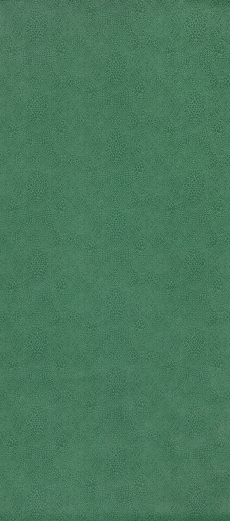 Osborne & Little | Margay wallcovering - Emerald