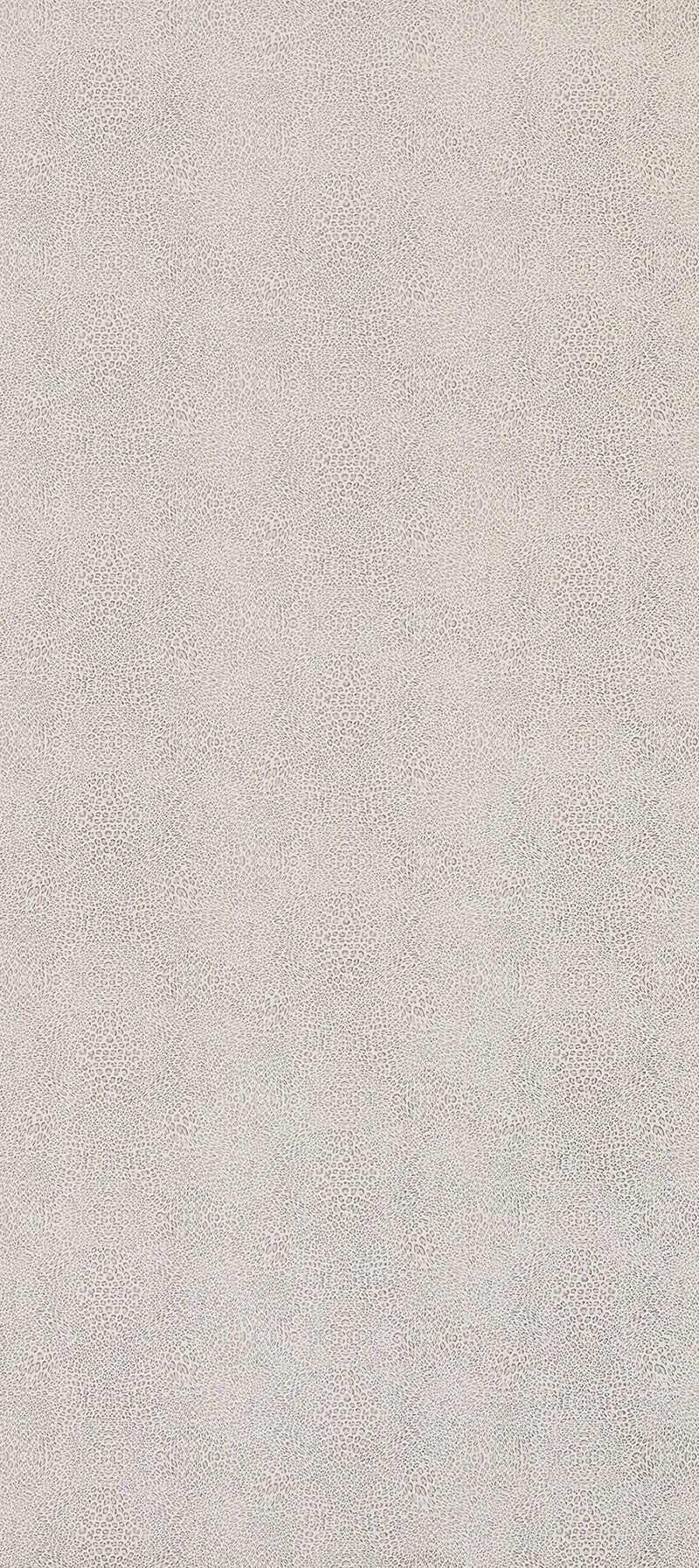 Osborne & Little | Margay wallcovering - Mole