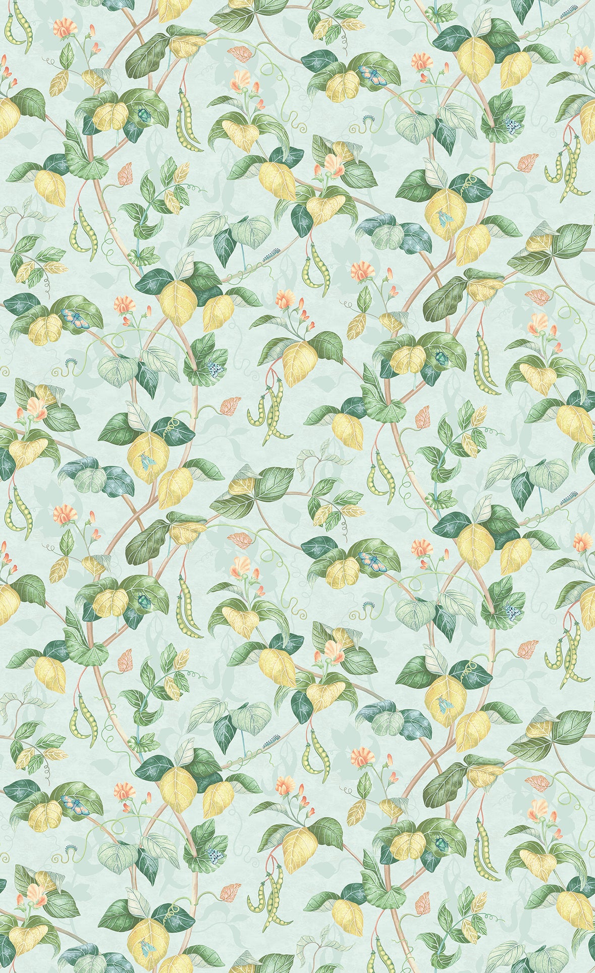 Osborne & Little | Cupani wallcovering - Aqua
