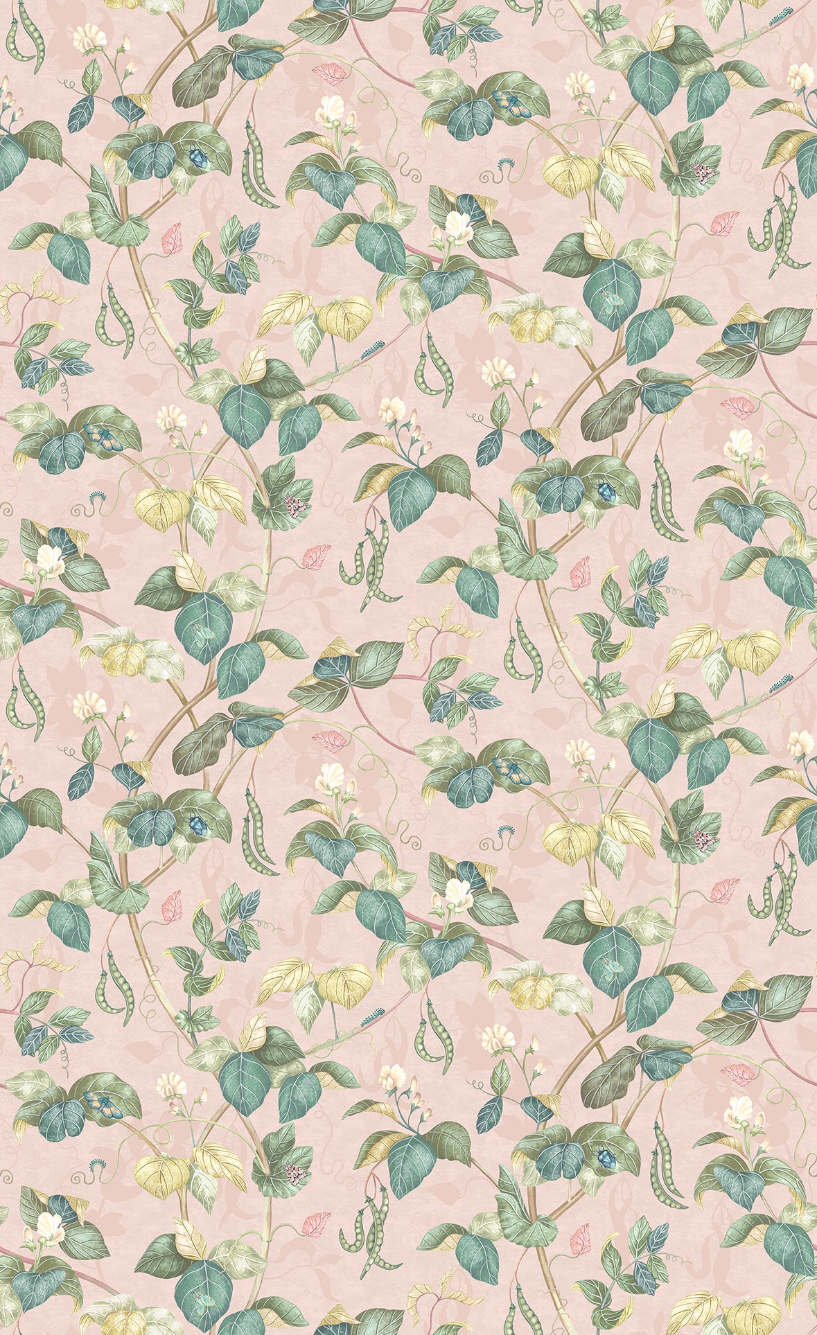 Osborne & Little | Cupani wallcovering - Blush