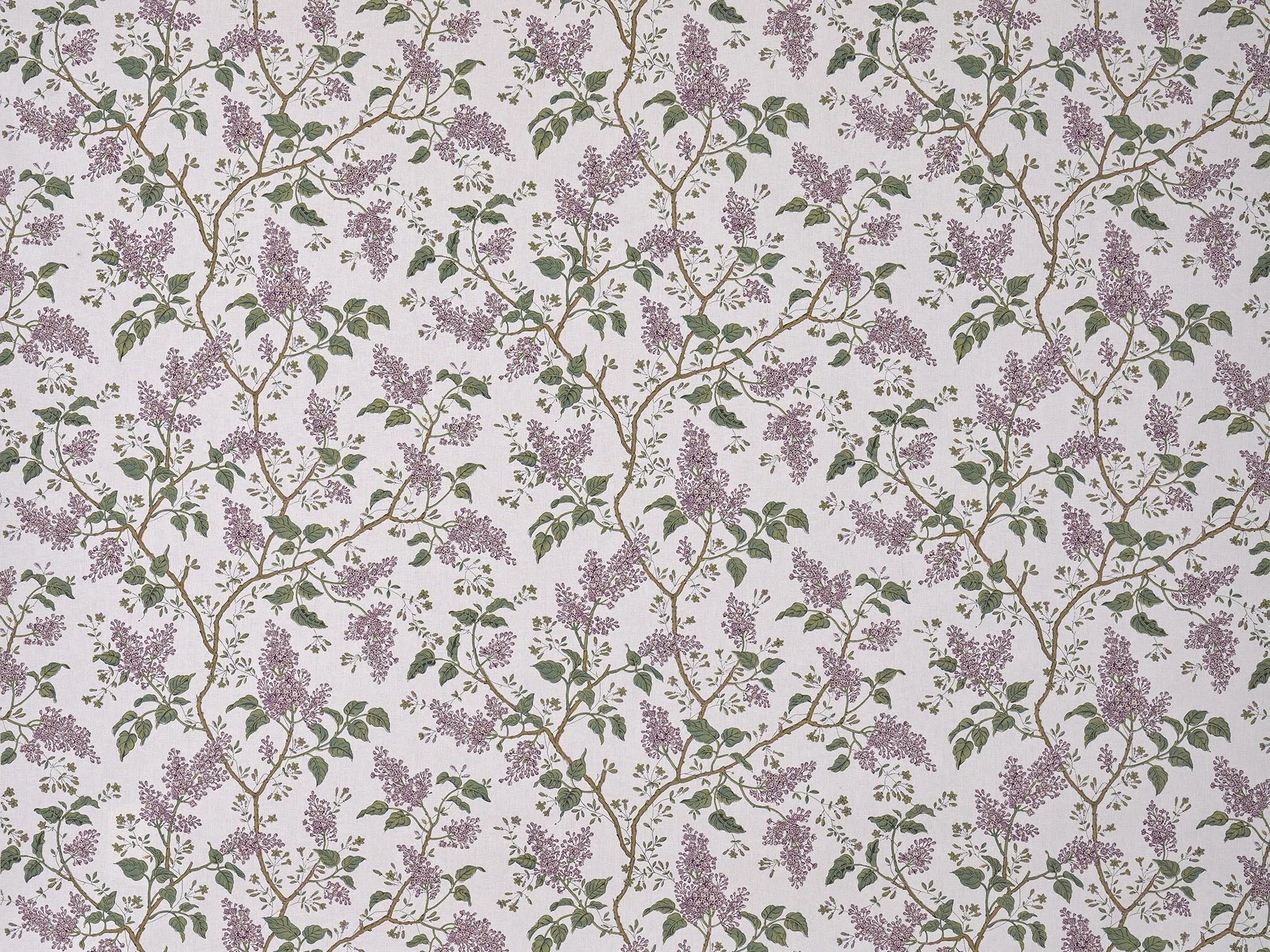 Pierre Frey Les Lilas - Parme