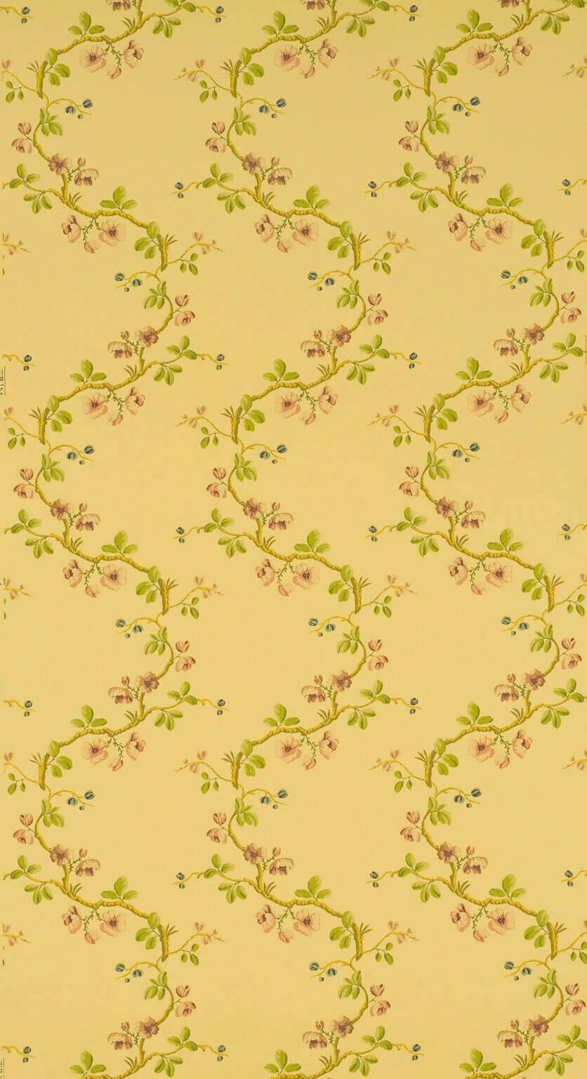 Pierre Frey Wallpaper Sans Papillons - Jaune