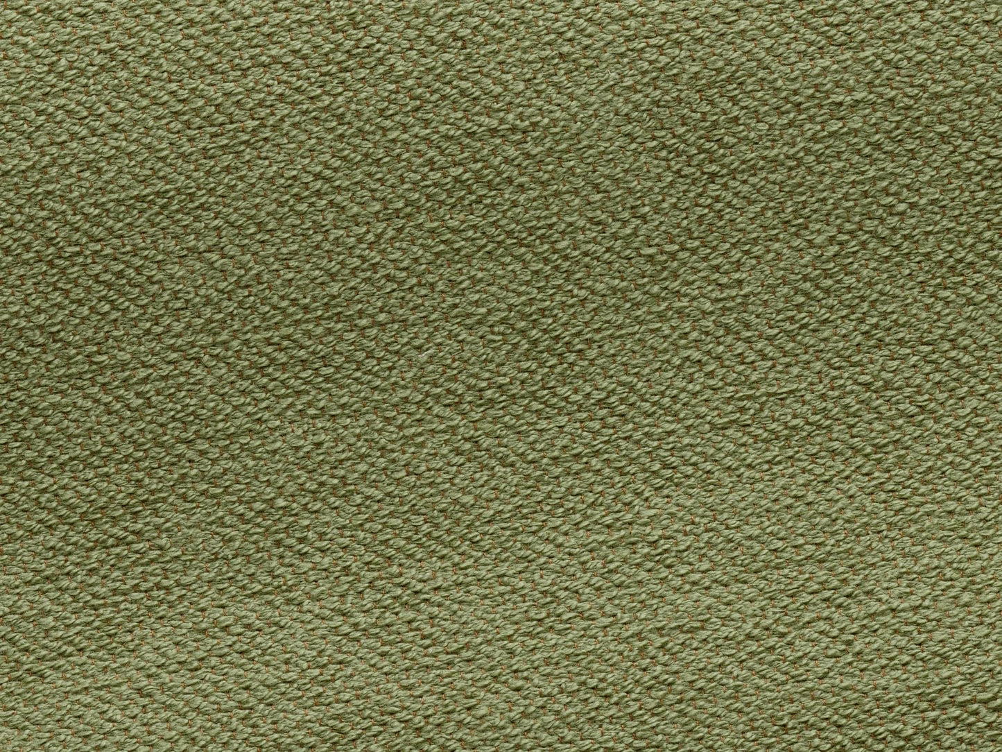 Pierre Frey Toile De Tours - Bouclette - Vert nil