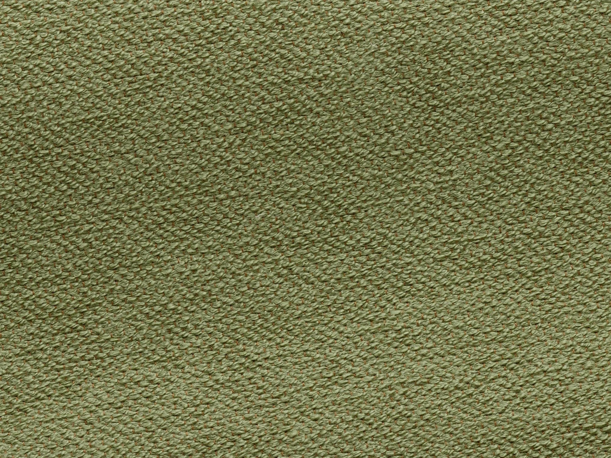 Pierre Frey Toile De Tours - Bouclette - Vert nil